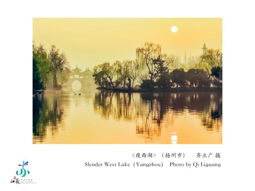 摄影图-13